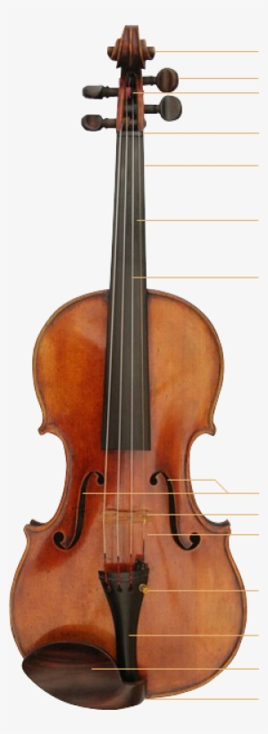 /default/violin - Pietro Guarneri Mantua 1690