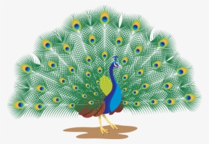 Go To Image - Peacock Images With Names