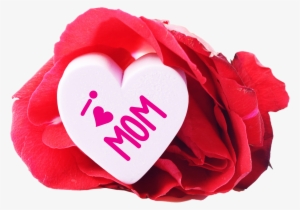 Mothers Day Background Images Transparent Png