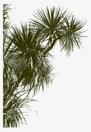 Cabbage Tree Background Image - Watercolourist