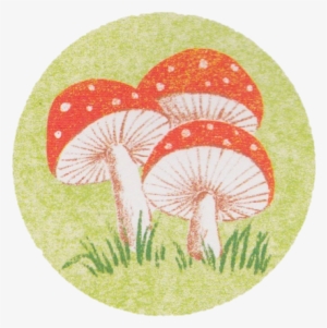 Celebrate Picture Books Picture Book Review Round Mushrooms - Portable Network Graphics