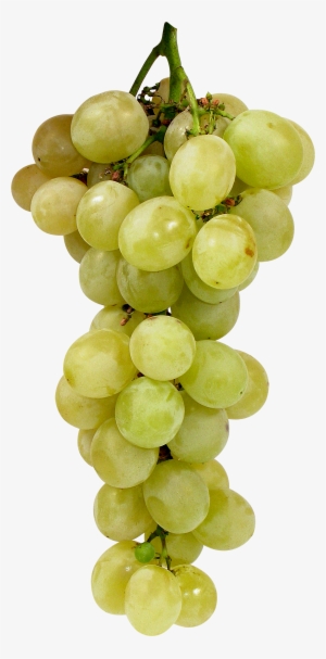 Green Grape Png Image - Green Grape Transparent