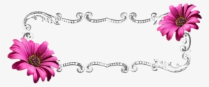 Floral Banner Png By Life As Me On Deviantart Clipart - Daisy