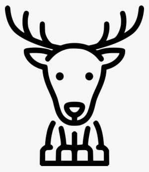 Deer Comments - Père David's Deer