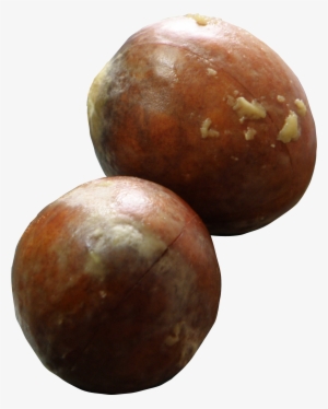 Avocado Seeds - Avocado Seed Png