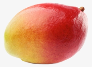 Mango Transparent Background