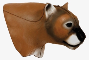 Mountain Lion Head - Mountain Lion Delta Mckenzie