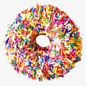 Chocolate Donut With Sprinkles