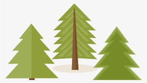 Doug Fir Free On Dumielauxepices Net - Woodland Tree Clipart