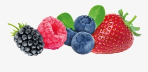 Svg Freeuse Stock Creamy Farmer S Yogurt Fruits Hollandia - Dolce Gusto - Bevanda Fragola Par 8 - Fabbri