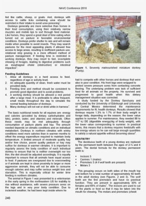 Herd Health For Donkeys-1