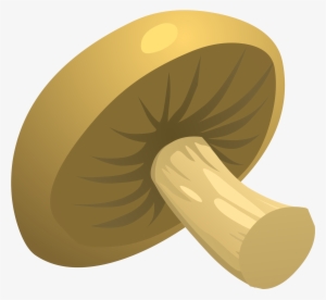 Food Mushroom Icons Png - Mushroom Clipart