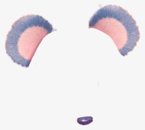 Snapchat Filtro Snap Panda Cara - Koala