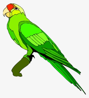 Drawing Alphabet Parrot Png Royalty Free Stock - Clip Art Images Parrot