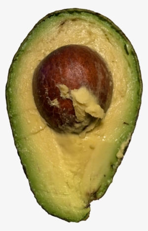 Avocado Transparent Image - Avocado Png