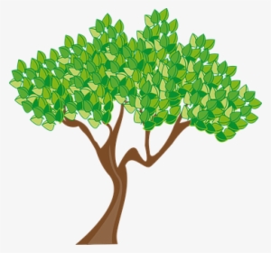 Season Summer Tree Leaves Green Trunk Wood - Cartoon Tree Transparent Background