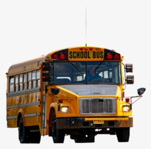 School
