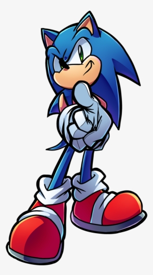 Examples Posted Are The Level Of Quality We're Aiming - Tempest The Dolphine X Sonic