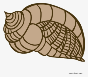 Big Brown Sea Shell Clip Art Image