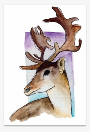 Poster Dear Deer De Barbara Câmarana - Reindeer