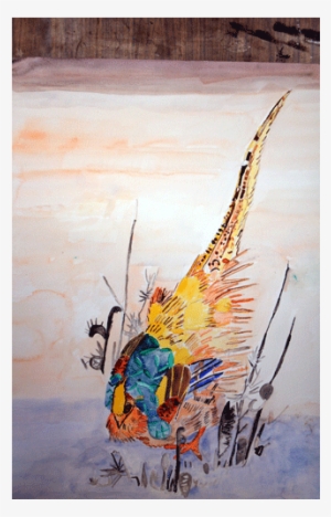 Watercolor Birds 4 - Pheasant