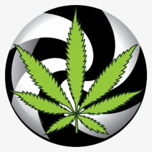 420portal - Cannabis