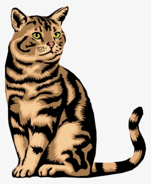 Tabby Cat Clipart Transparent - Animals Do Not Lay Eggs
