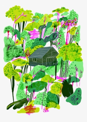 Jpg Library Stock Borneo Rainforest Hannahwarren Com - Borneo Lowland Rain Forest