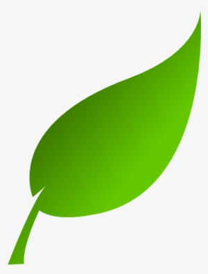 Leaf Clip Art - Leaves Clip Art Png