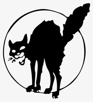 Anarchist Black Cat