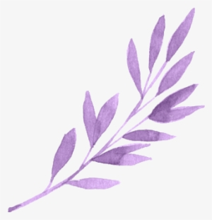 15 Aesthetic Png Transparent For Free Download On Mbtskoudsalg