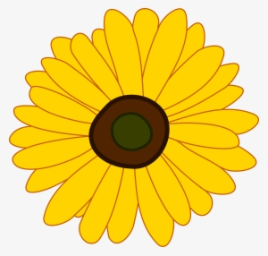 Sunflower Png