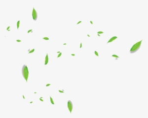 Falling Green Leaves Png Transparent Image - Portable Network Graphics