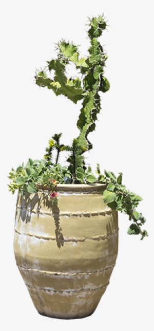 Potted Plants Clipart Transparent Background - Big Plant Pot Png