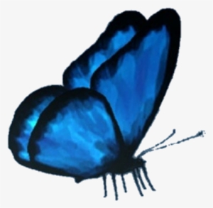 Butterfly Butterflyeffect Lifeisstrange Max Cloe Png - Picsart Png Butterfly