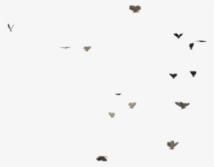 Flying Butterflies Png Clip Art Stock - Butterflies Flying Gif Png