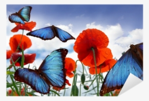 Blue Butterflies Flying Over A Field With Poppies Sticker - Farfalle Colorate Su Papaveri