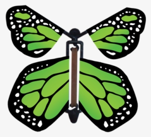 Go Green Wind Up Flying Butterfly - Greeting Card
