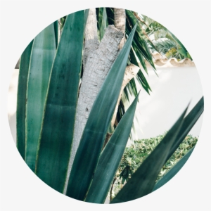 Circle5 - Photography