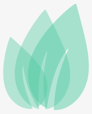 An Error Occurred - Green Leaf Logo Aqua