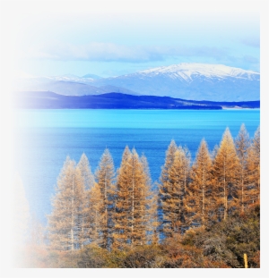 To Bring About Positive Genuine Customer Experience - Loch