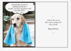 Secret To Staying Birthday Card - Happy Birthday Dog Lover Funny