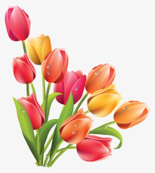 Tulip Clipart Bucket Flower - Spring Flowers Png