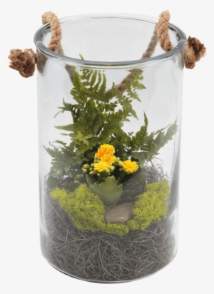 Rope Terrarium - Royer's Flowers & Gifts