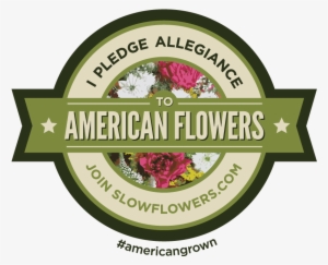 Slow Flowers - Five Star Movement