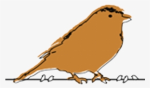 Giant Sparrow