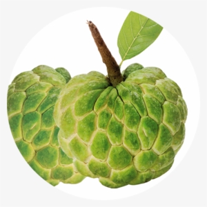 Sitaphal - Custard Apple Image Png