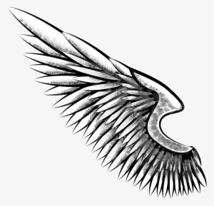 Eagle Wing Png Freeuse Download - Alas De Aguila Dibujo