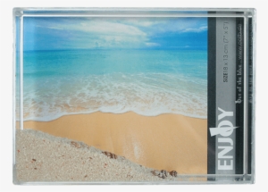 Novelty Retro Design - 3d-acrylic Sand & Shells