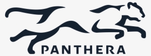 Logo Lightbackgrounds